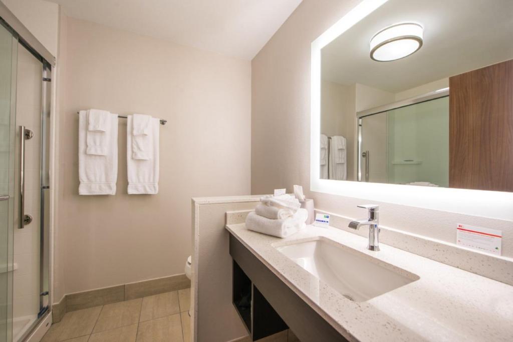 Holiday Inn Express & Suites - Tampa North - Wesley Chapel, an IHG Hotel - Habitación Estándar