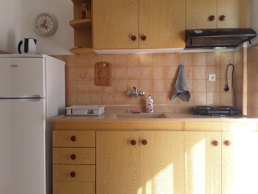 Kuchyň nebo kuchyňský kout v ubytování Hause Zorbas