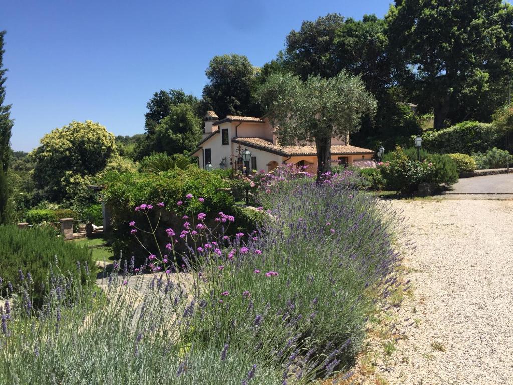 un giardino con fiori viola di fronte a una casa di Olivella a Campagnano di Roma
