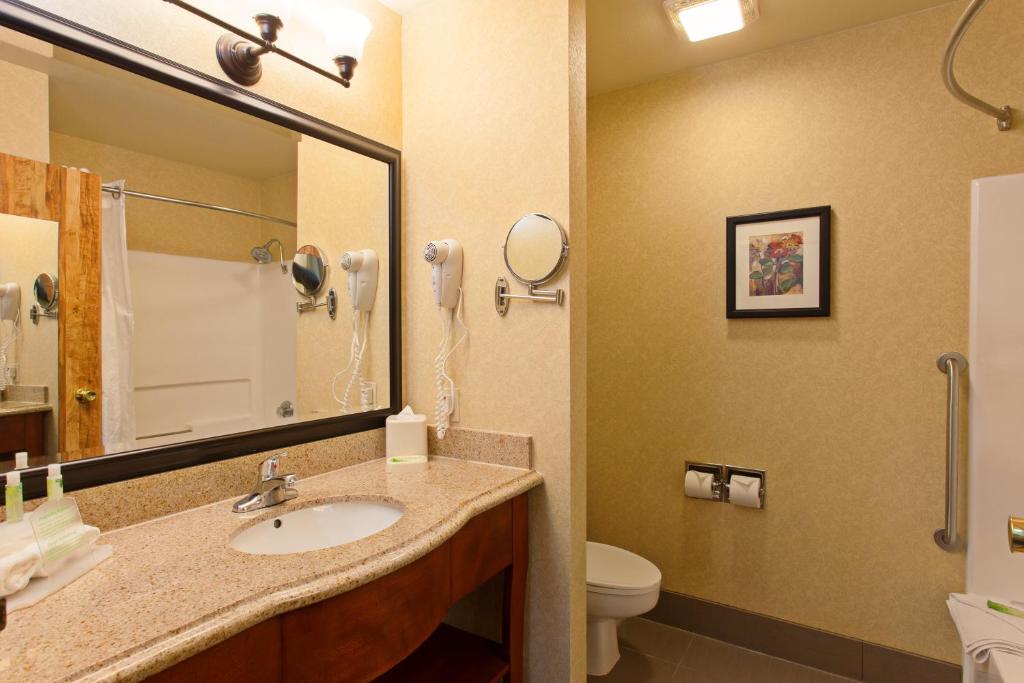 Holiday Inn Express Temecula, an IHG Hotel - Standard King Room Con Divano Letto - Non Fumatori
