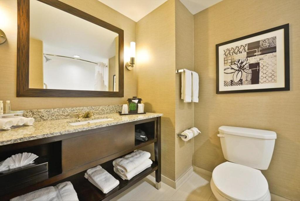 Holiday Inn Express & Suites Utica, NY - Habitación Estándar King