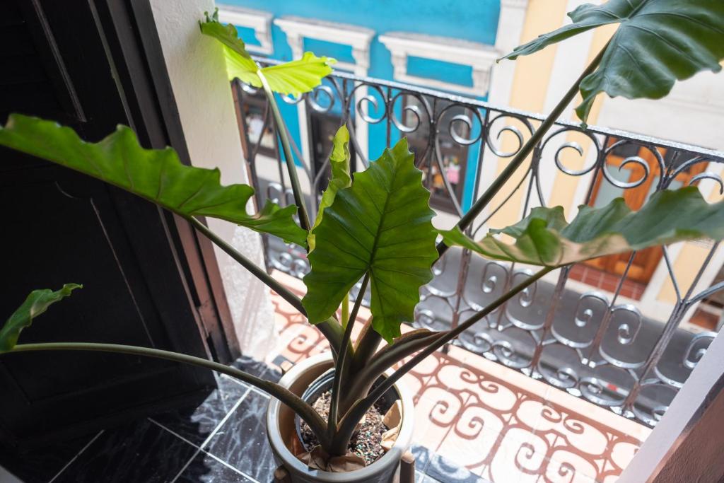Balkón nebo terasa v ubytování Fortel Hostel