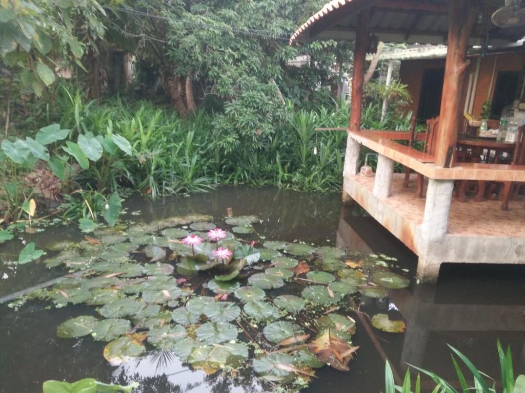 un étang avec des nénuphars et un pont en bois dans l'établissement ต้งโฮมหละปูน ณ ตูบคำ, à Lamphun