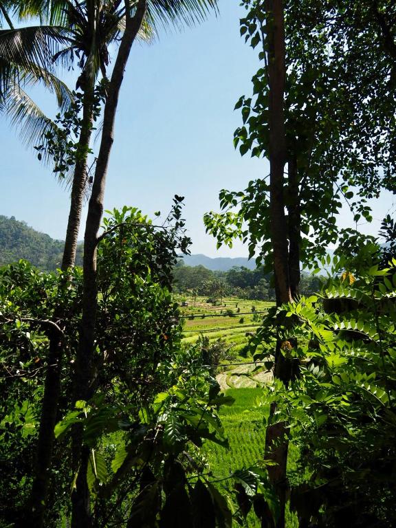 Green Vanilla Bungalow - 10