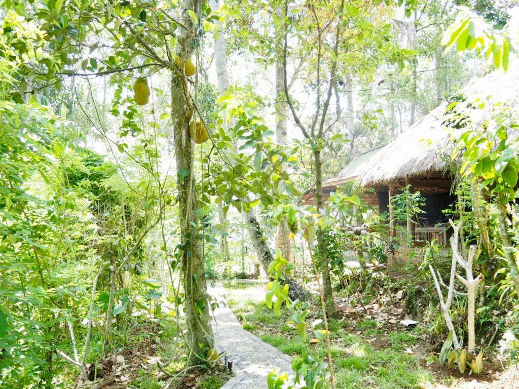 Green Vanilla Bungalow - 19