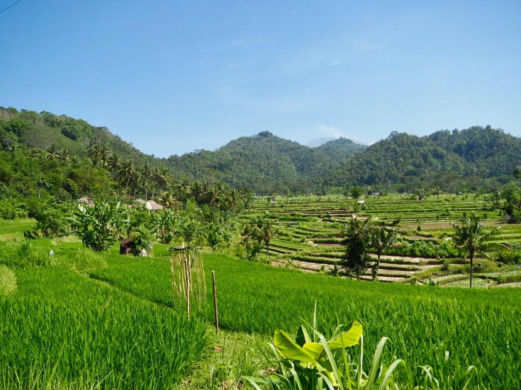 Green Vanilla Bungalow - 18