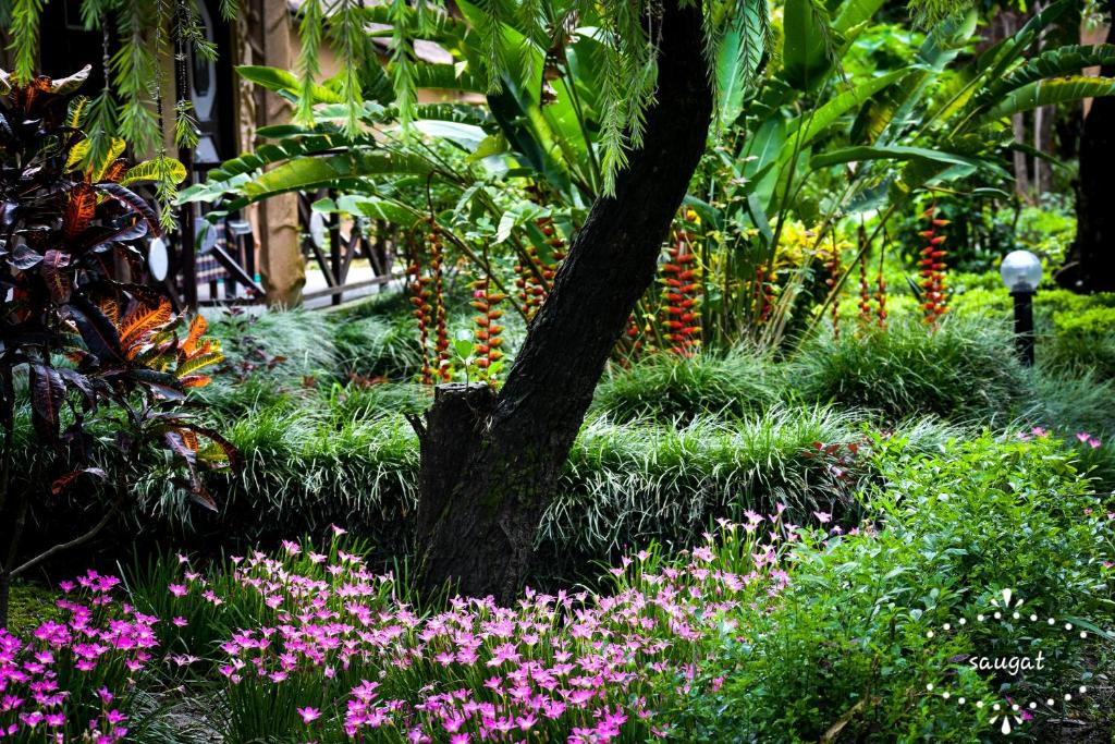 Bardia Wildlife Resort