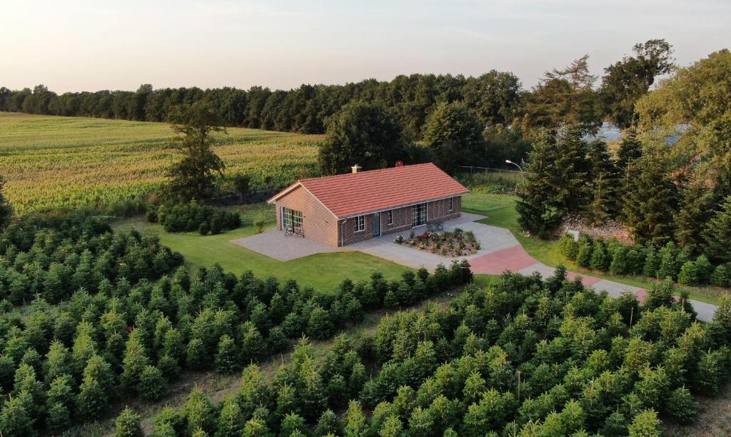 A bird's-eye view of Auszeit