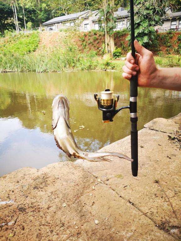 bluewater fishing rod holders Bluewater360: The Ultimate 0-Degree Rotating Rod Holder  Exploding Fish  International