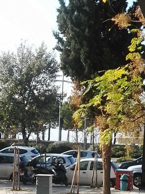 Zdjęcie z galerii obiektu Maria Kallas w Salonikach