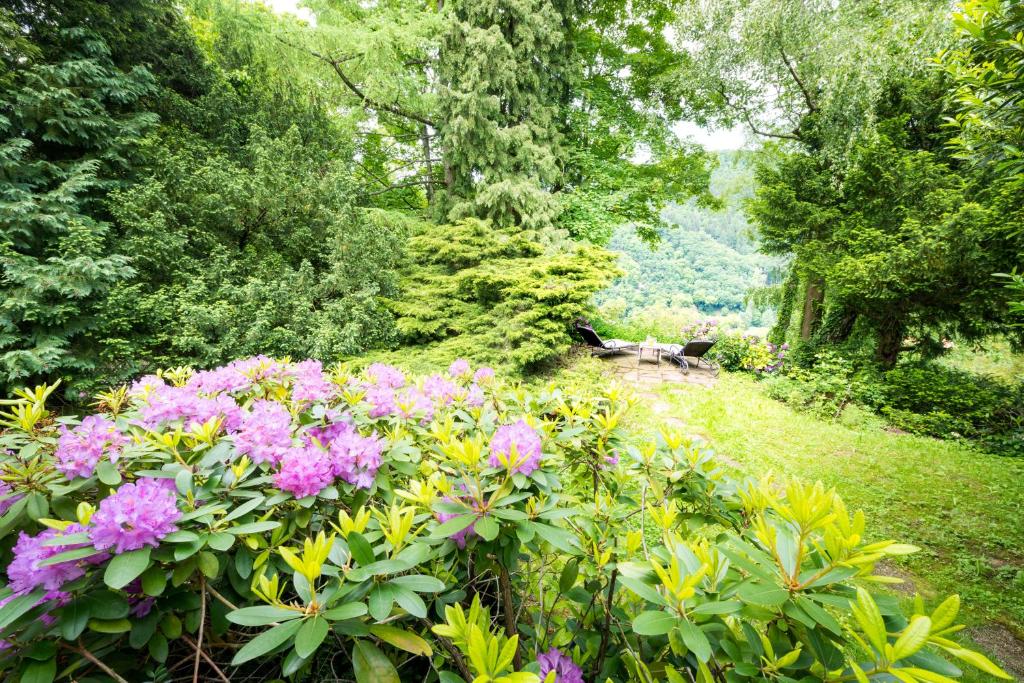 Parkhotel Atlantic - Resim 32