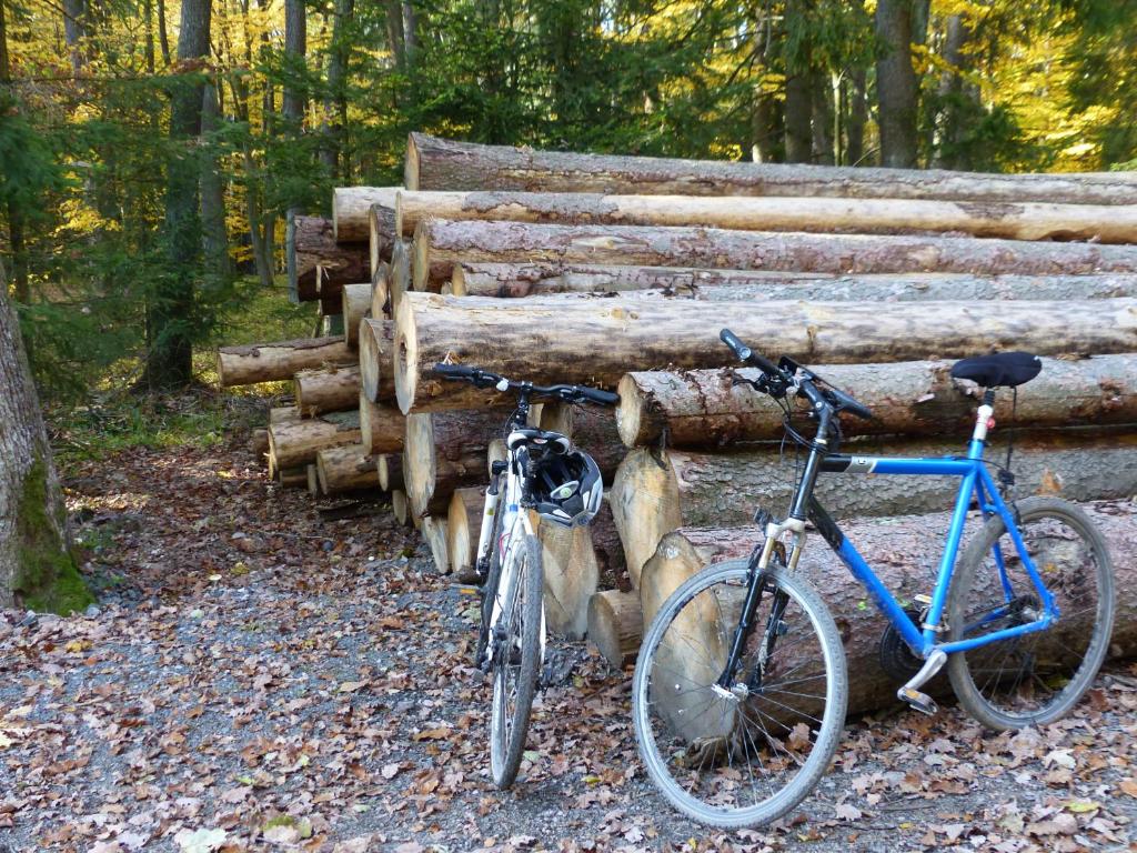 Jízda na kole v ubytování Vakantiehuis Reuzengebergte nebo okolí