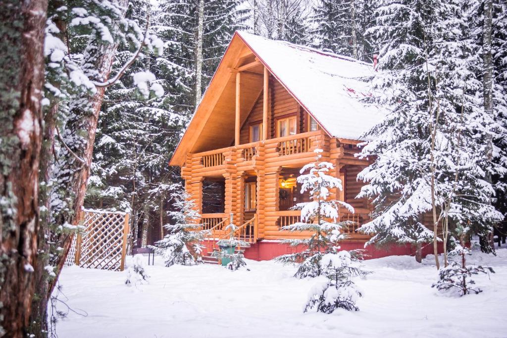 eine Blockhütte im Wald im Schnee in der Unterkunft Istra Holiday Hotel in Trusovo