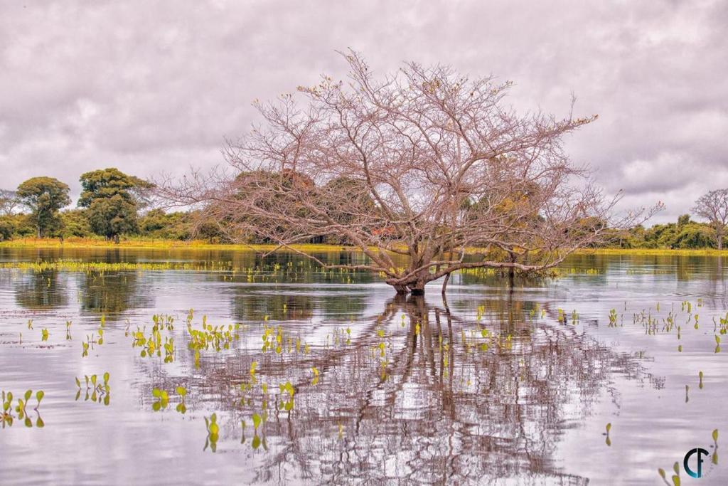  Pousada Reserva do Pantanal