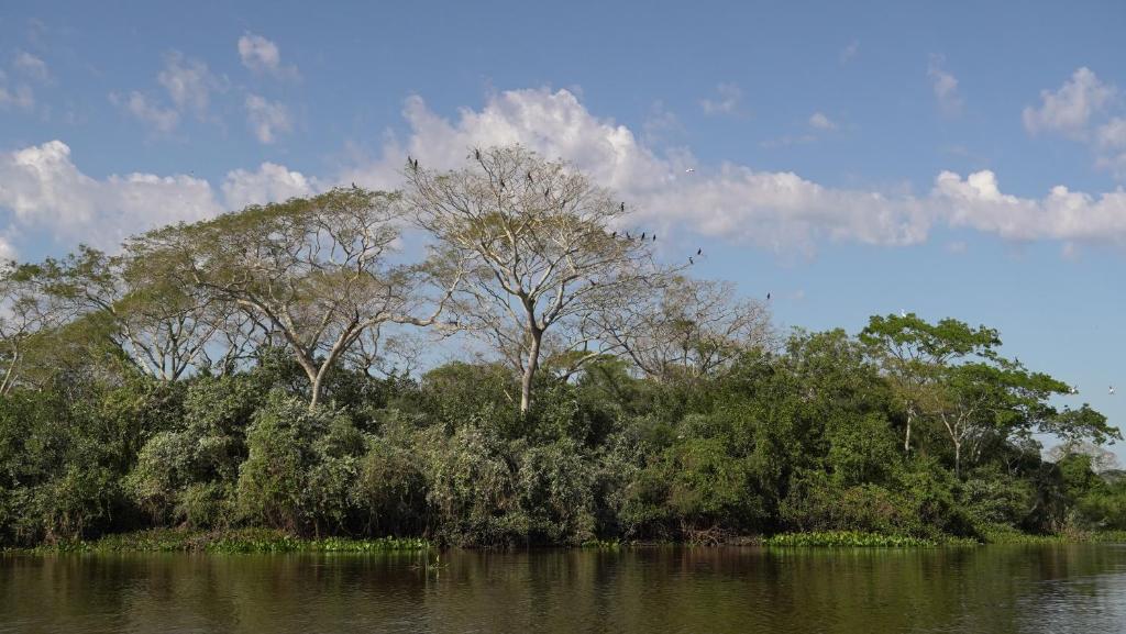  Pousada Reserva do Pantanal