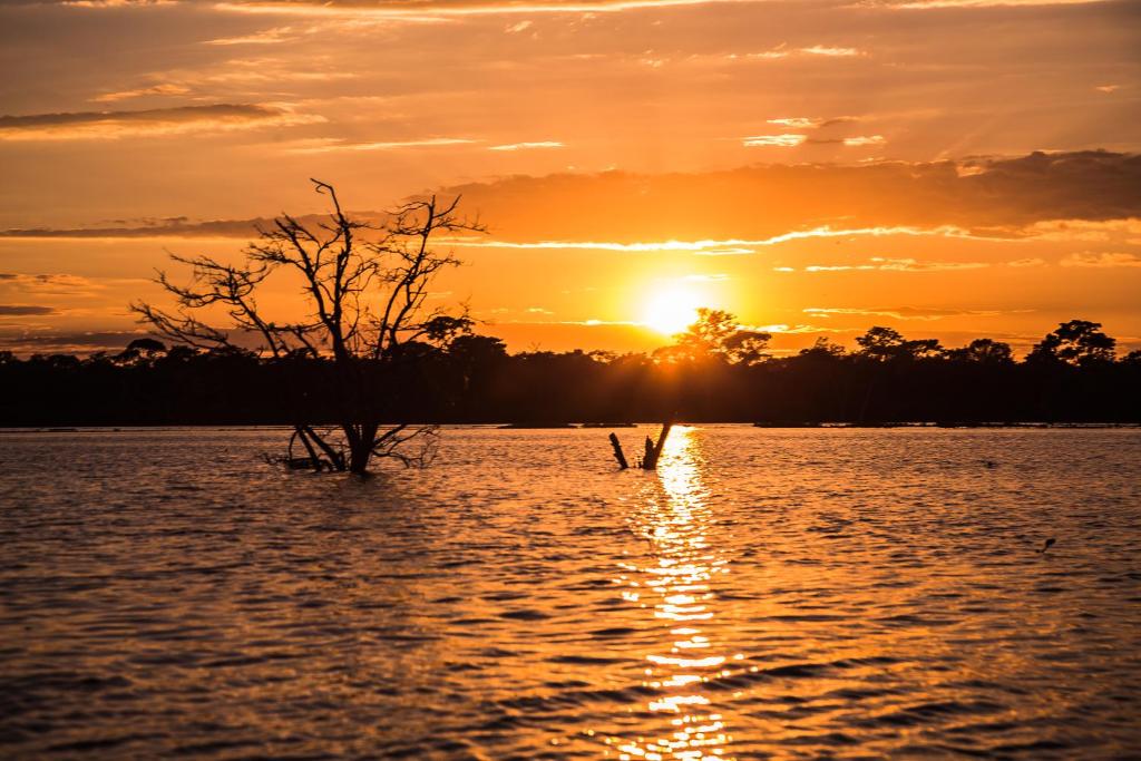  Pousada Reserva do Pantanal