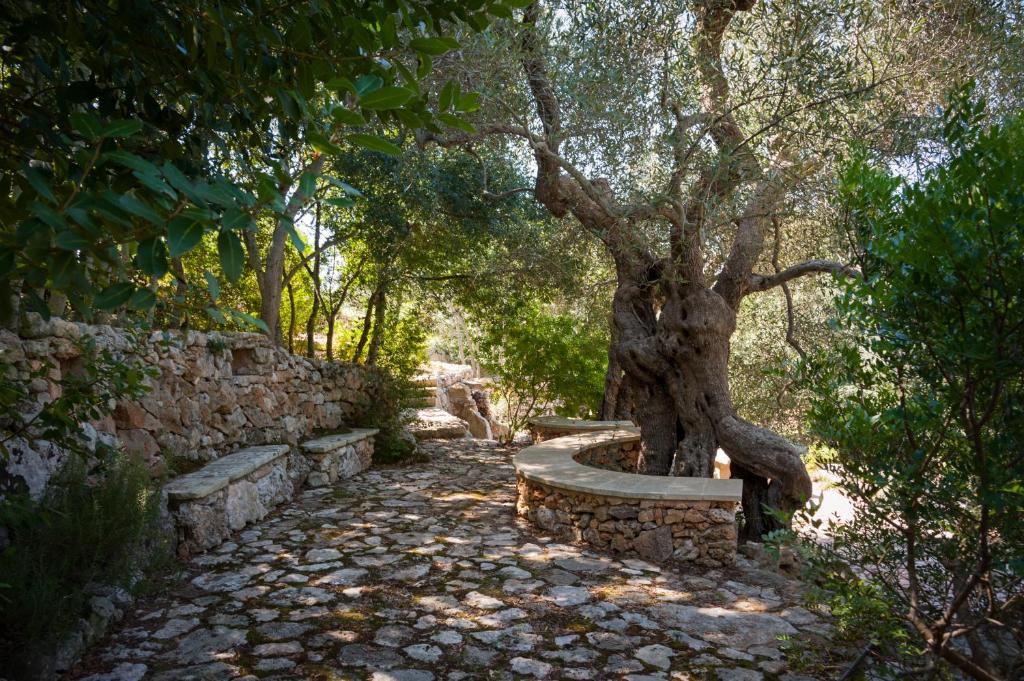Zahrada ubytování "IL BOSCO" di POZZO VOLITO