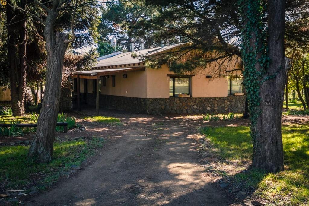 a house with a dirt road next to trees at El Estanque in Tandil