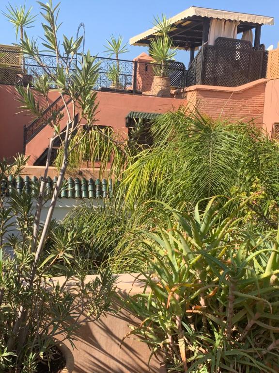Zahrada ubytování Riad Ghali Hotel & SPA
