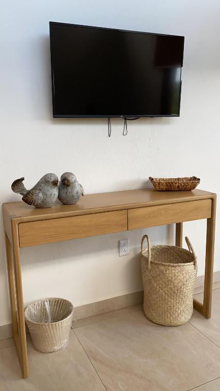 TV a/nebo společenská místnost v ubytování Cabaña Quinta Gaes Spa