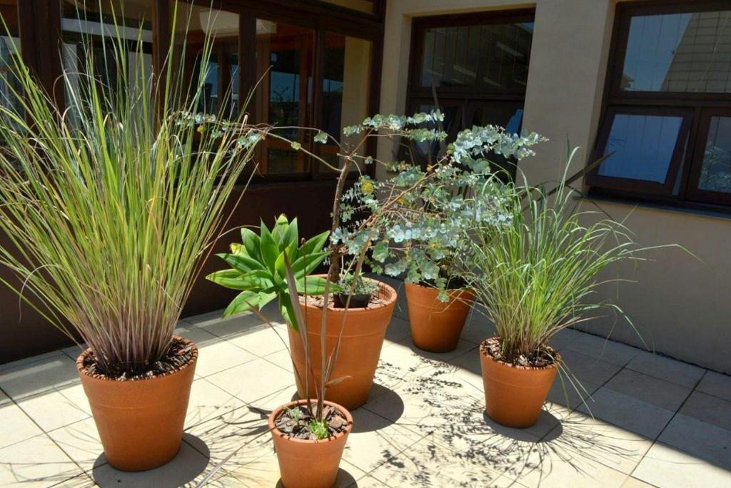  LOCAR-IN GRAMADO Aconchego Coração de Gramado