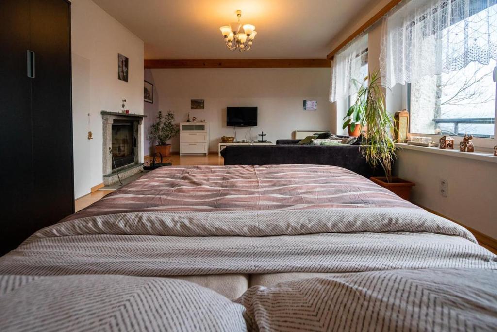 Postel nebo postele na pokoji v ubytování Šírovka