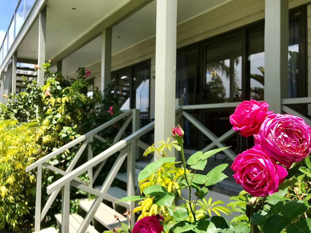 Bounty Motel - Resim 14