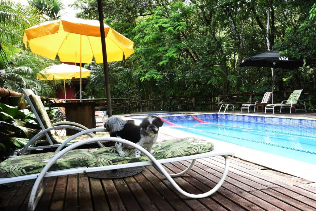  Pousada Portal do Cacau-Petfriendly