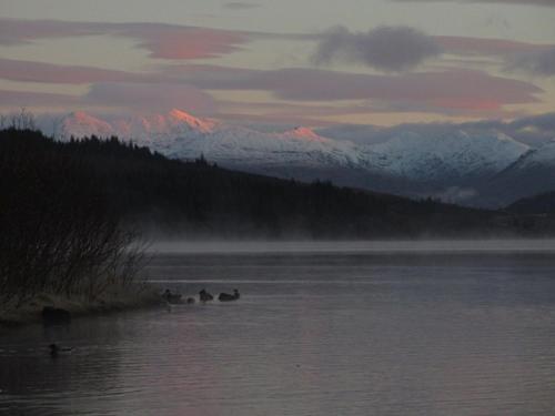 a group of ducks in a body of water with mountains at The Old School in Dallavich