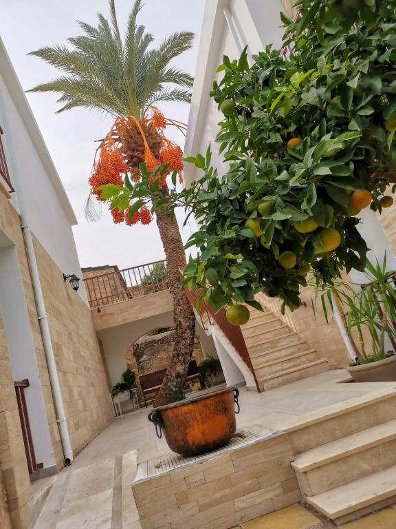 Zahrada ubytování Golden Palms Guest House & Cafe