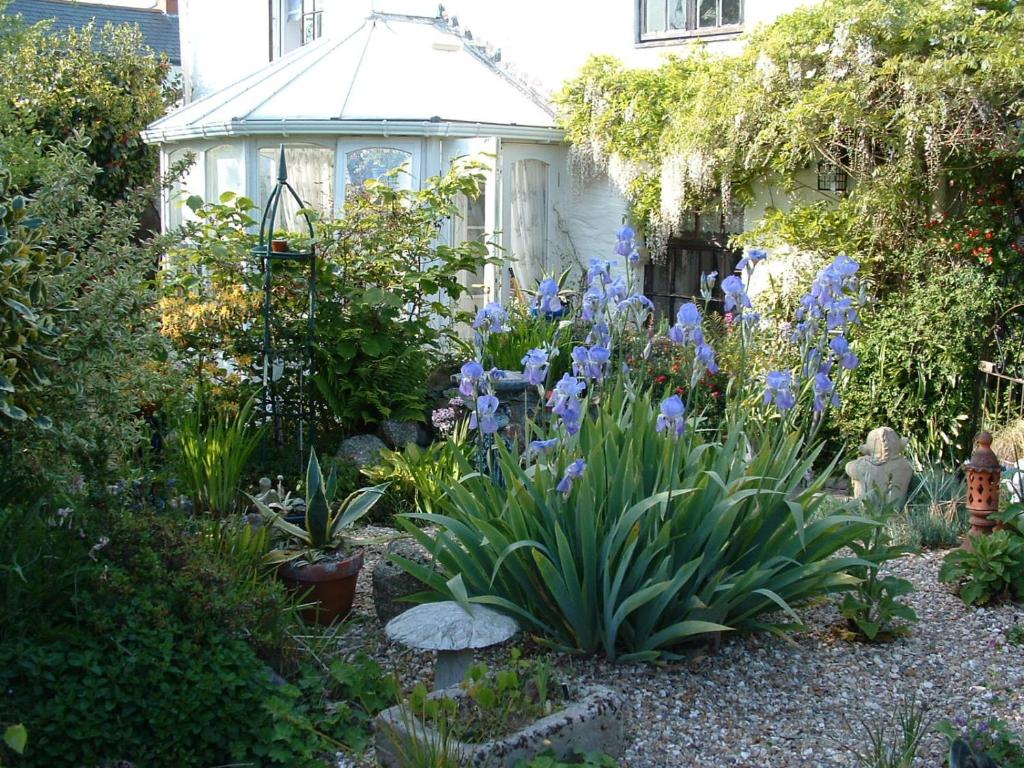 a garden with blue irises in front of a greenhouse at Emms Cottage in Par