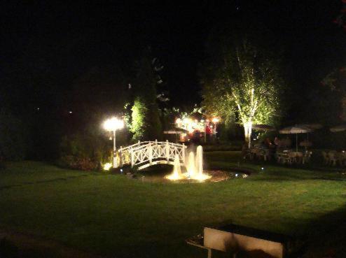 a bridge over a pond with a fountain at night at Hotel Specht in Witten