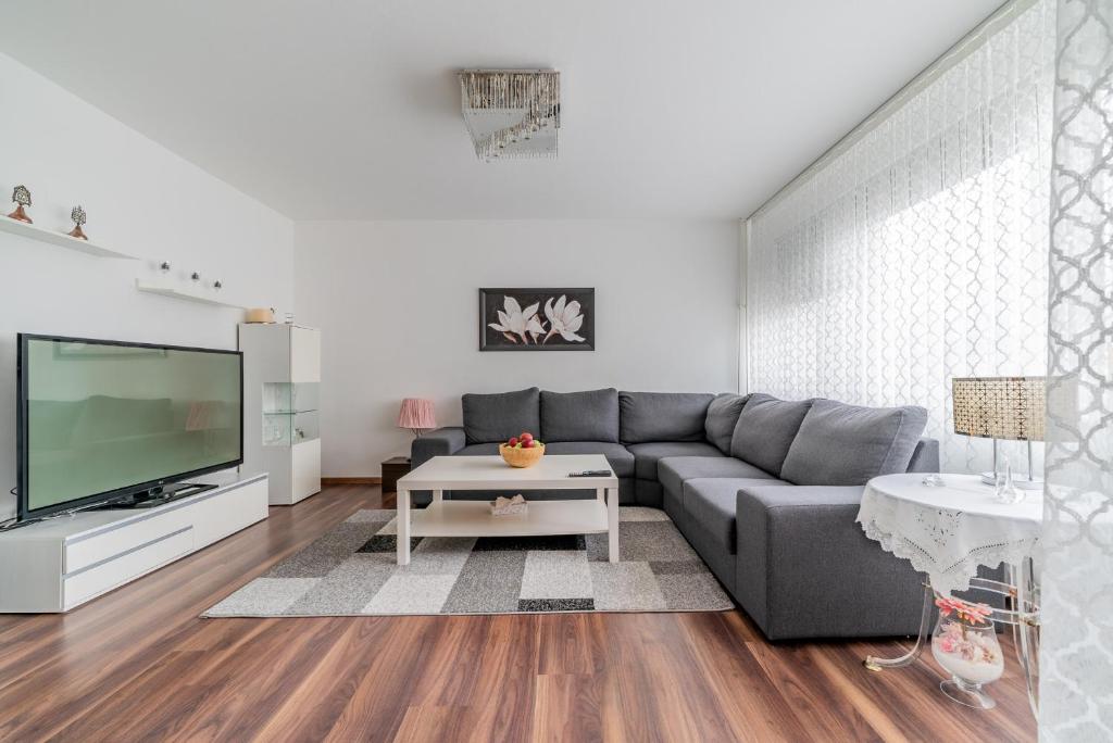 TV a/nebo společenská místnost v ubytování Private Apartment