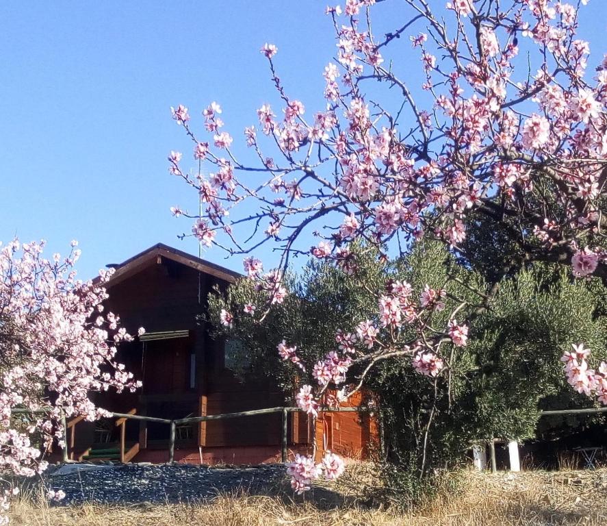 Vonkajšia záhrada v ubytovaní Casa La Colina Mandarina I
