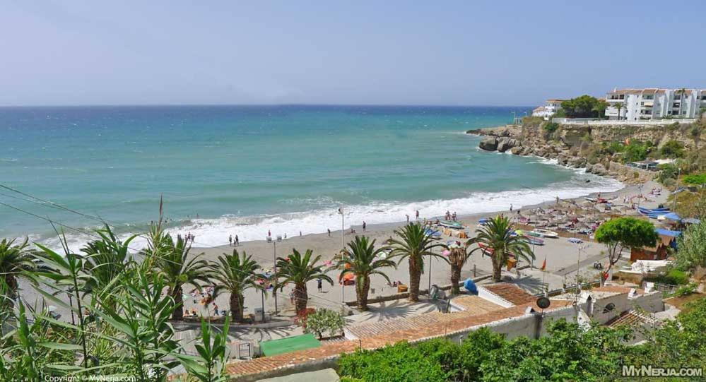 a view of a beach with palm trees and the ocean at Nerja Villas-Capistrano in Nerja
