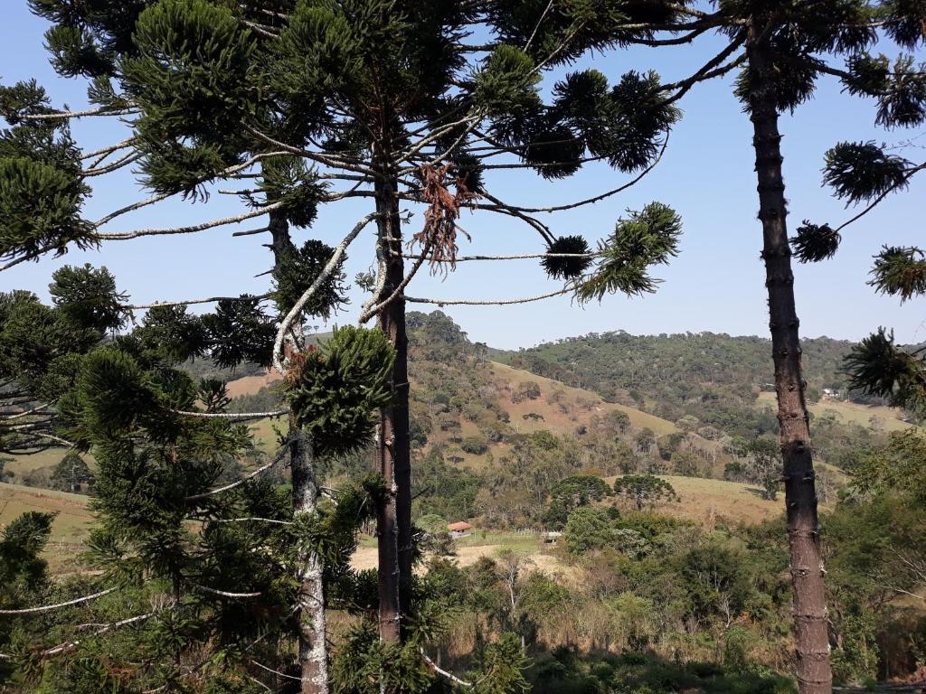  Solar dos Pinhais