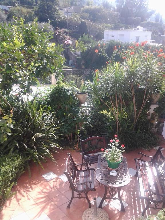 Zahrada ubytování B&B Angelide