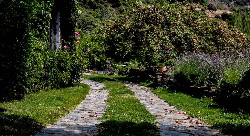 A garden outside Casa Rural Catifalarga Alpujarra