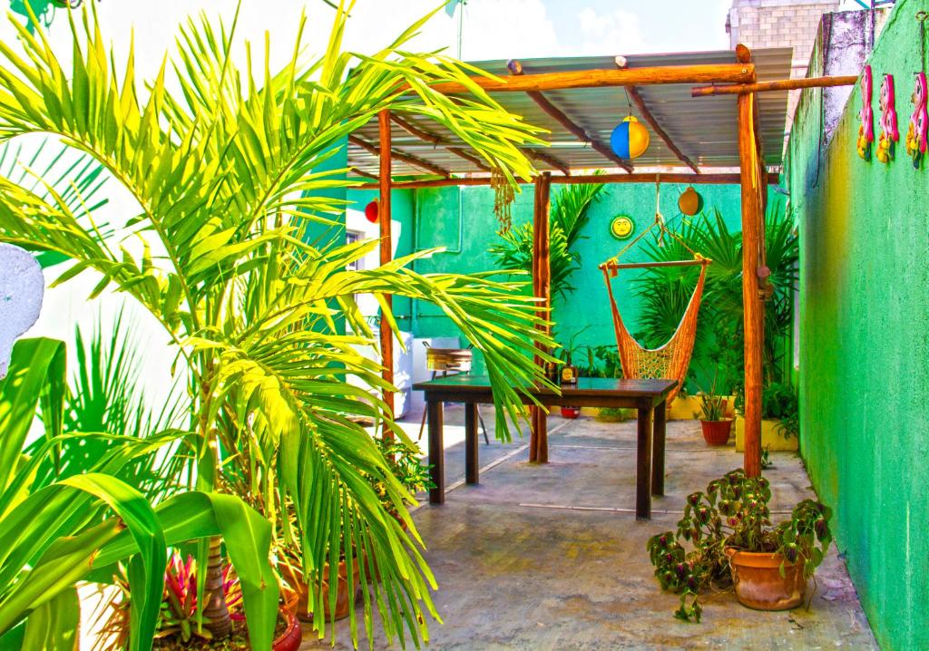 a patio with plants and a bench and a green wall at Casa Caridad del Cobre in Isla Mujeres