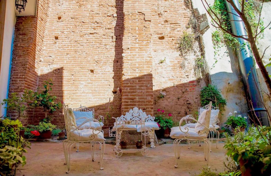 Zahrada ubytování Casa California Guesthouse