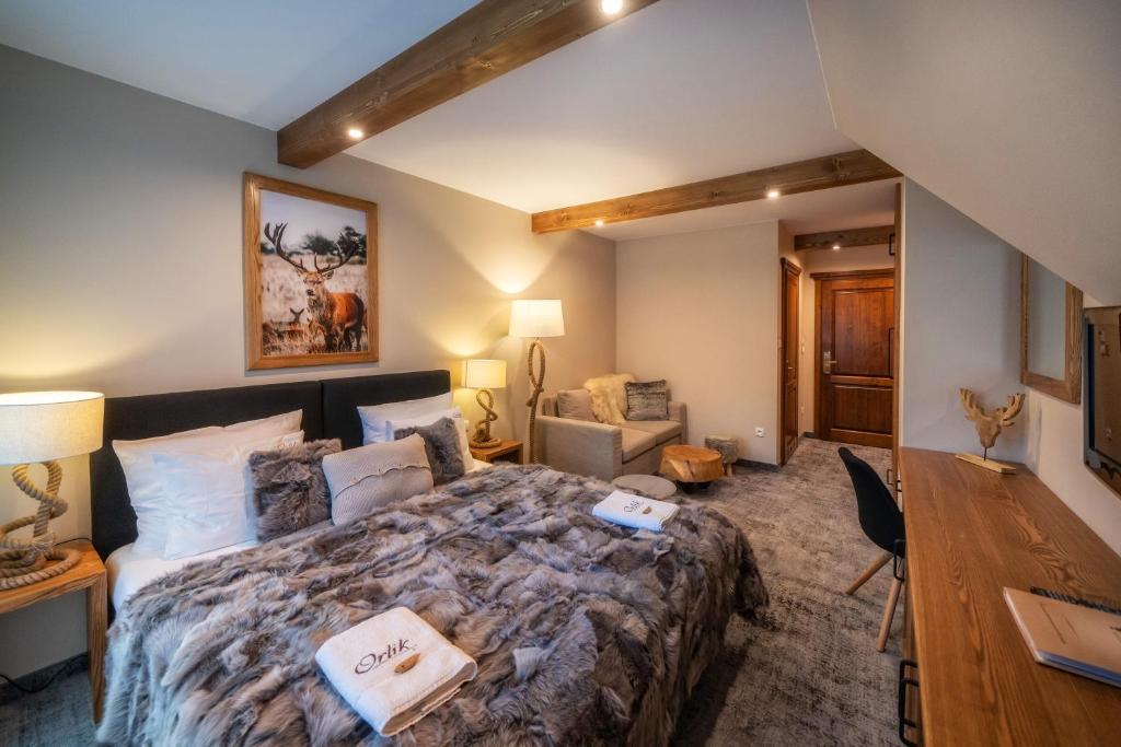 Pensjonat Orlik Mountain Resort&SPA - 18