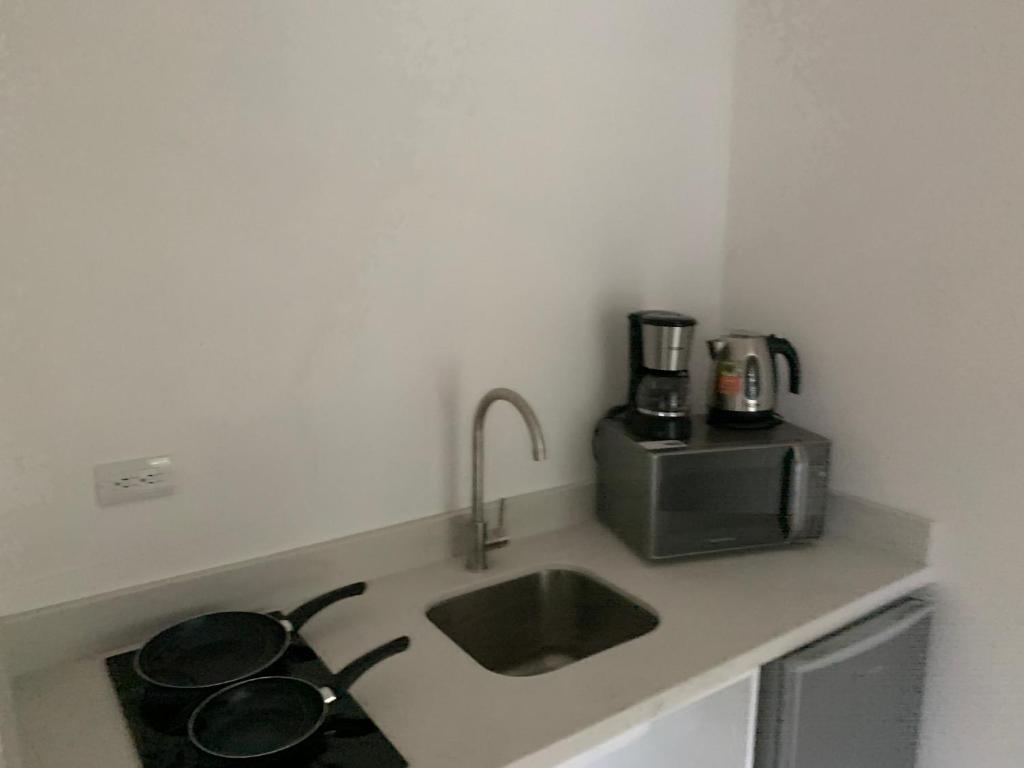 Kuchyň nebo kuchyňský kout v ubytování Aves Hotel Montezuma