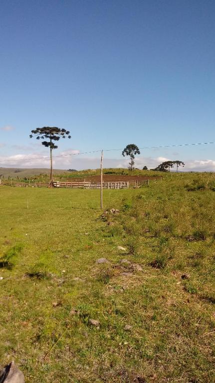  Flores da Serra Gastronomia e Turismo Rural