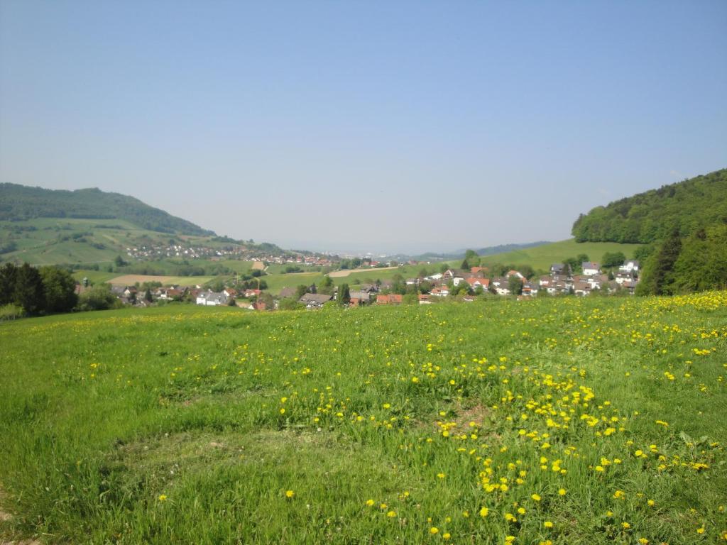 Příroda nedaleko apartmánu