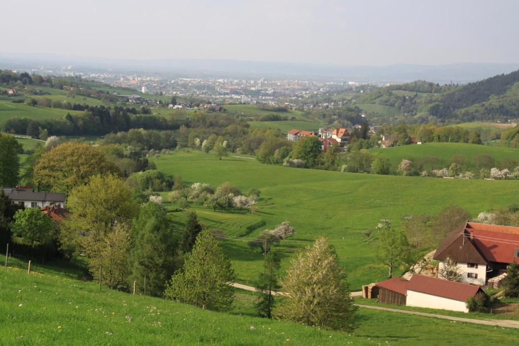 Příroda nedaleko apartmánu