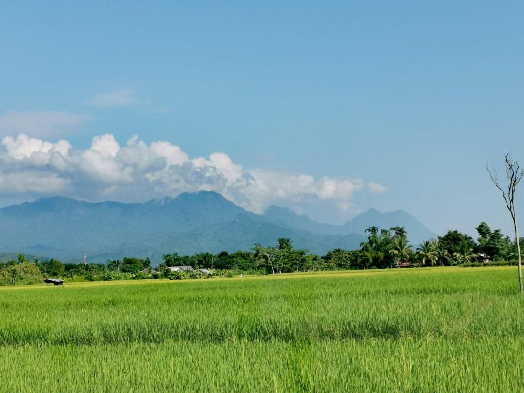 Ban Din Resort Chiang Rai - Three-Bedroom House