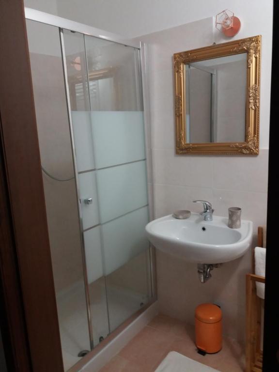 ein Bad mit einer Dusche, einem Waschbecken und einem Spiegel in der Unterkunft Le Tre Rose in Brunetta