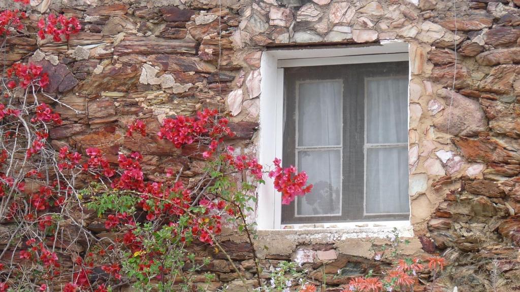 Fotografie z fotogalerie ubytování Born To Stay In Milfontes v destinaci Vila Nova de Milfontes