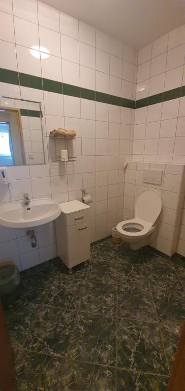 Łazienka w obiekcie Pod Vinicí
