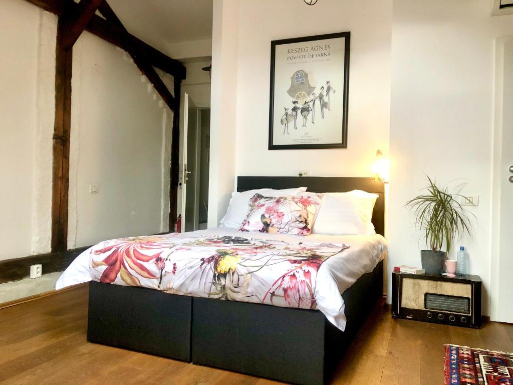 Camino Home - Resim 45